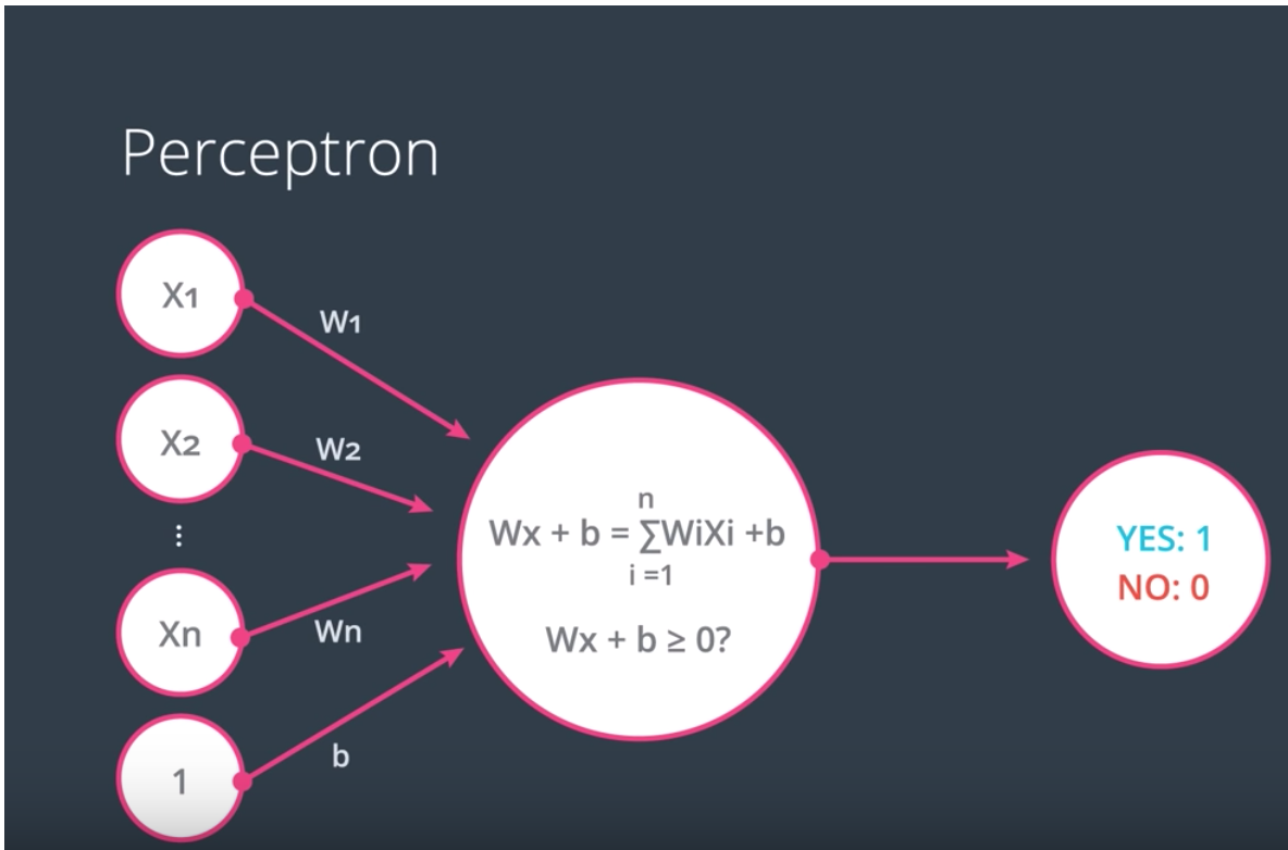 Perceptron generic alt text