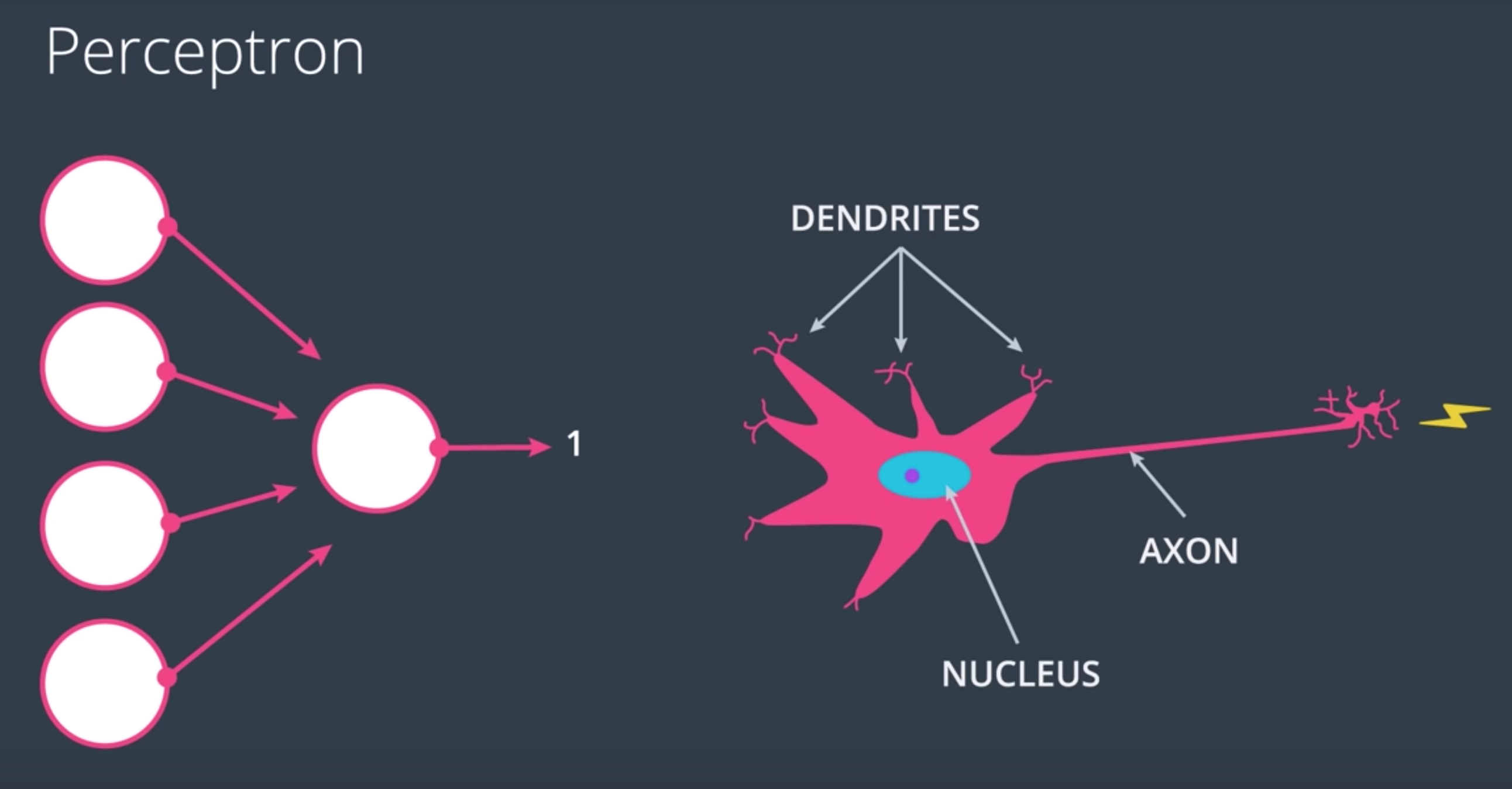 Perceptron generic alt text